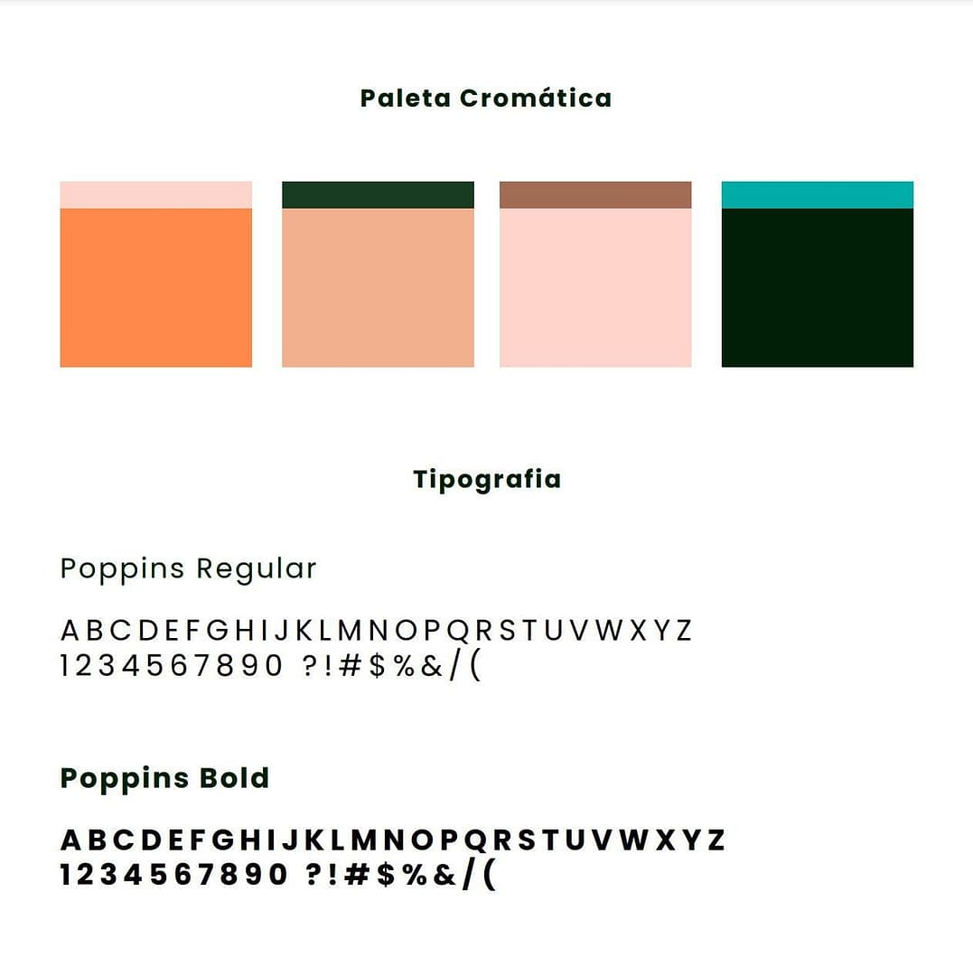 4-Paleta Cromatica y Tipografia